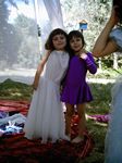 Click to see big picture (338x450 pixels; 36 KB)